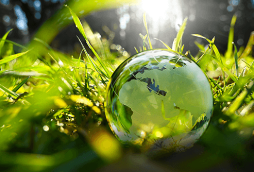 Sustainability Sustainability