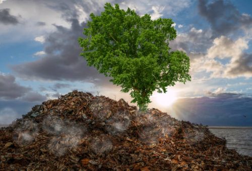 Garbage dump with scrap environmental destruction of nature Garbage dump with scrap environmental destruction of nature