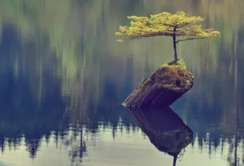 resilience-in-positive-psychology resilience-in-positive-psychology