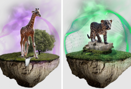 souls-of-nature-nft-environment souls-of-nature-nft-environment